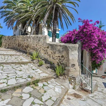 Villa Le Tre Palme Porto Azzurro