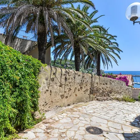 Le Tre Palme