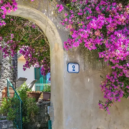 Le Tre Palme *